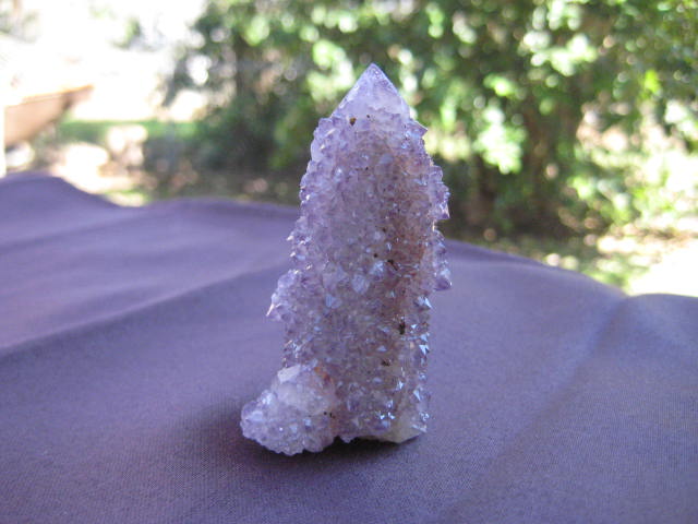 Amethyst Cactus protection, purification, divine connection, release of addictions 2100